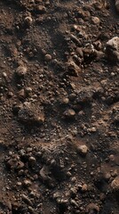 Healthy Soil. Loose, airy, and well-aerated soil texture concept