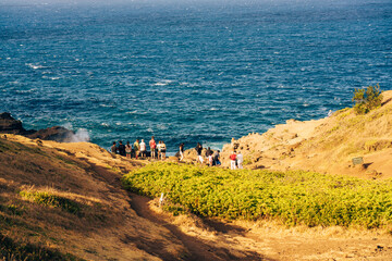 Hawaii: The Aloha State
Experience the breathtaking beauty and vibrant culture of Hawaii, from its...