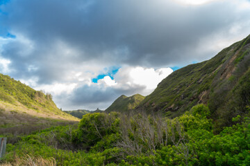 Hawaii: The Aloha State
Experience the breathtaking beauty and vibrant culture of Hawaii, from its...