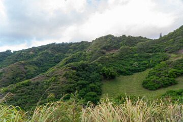 Hawaii: The Aloha State
Experience the breathtaking beauty and vibrant culture of Hawaii, from its...