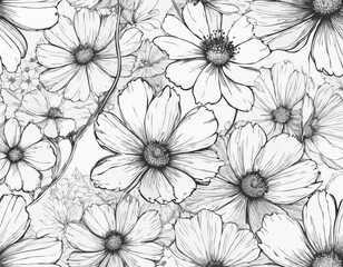Vector Cosmos floral botanical flowers. Black and white engraved ink art. Isolated cosmea illustration
