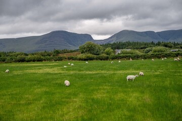 Ring of Kerry, Ireland
