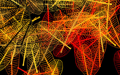 Dark Orange vector abstract backdrop with flowers, leaves.