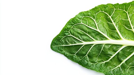 Detailed close-up of a halved chard leaf, focusing on the intricate vein pattern and color transition from stem to leaf. Set against a pure white background