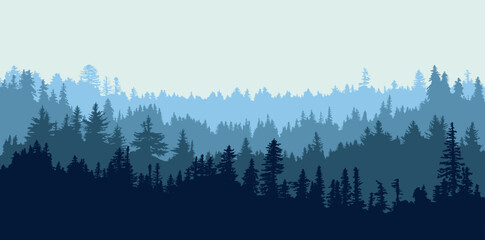 Fototapeta premium Panoramic caniferous woodland silhouette background