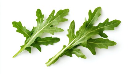 Fresh arugula leaves, neatly halved to show their distinct serrated edges and vibrant green color, isolated on a clean white background