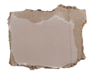 Blank ripped cardboard isolated on white