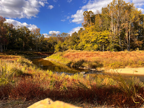autumn landscape