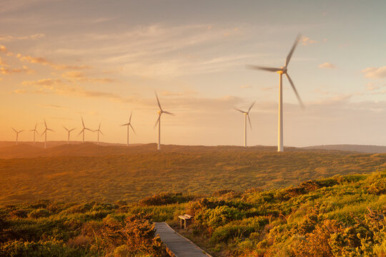 Golden sunset along ocean side windmill park in Australia 