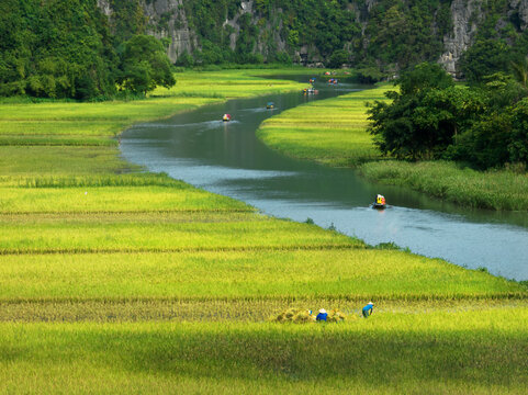 Ngo Dong river in Tam Coc