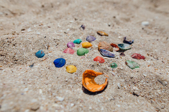 
colored shells on the sand