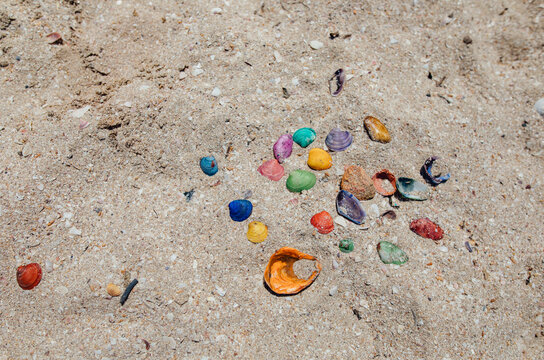 
colored shells on the sand