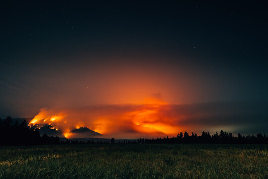 Forest fire and northern lights