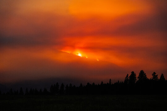 Forest fire blazes at night