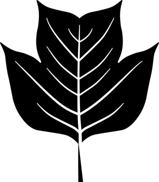 Tulip tree leaf icon. Autumn leaf symbol. Silhouette style.