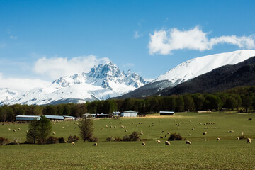Green valley and snow capped mountain