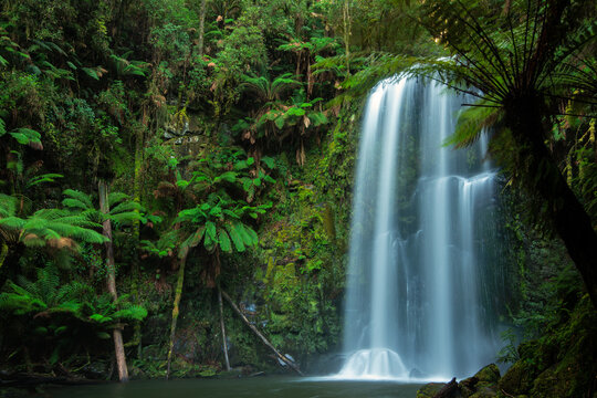Stunning lush rainforest waterfall in Australia - Powered by Adobe