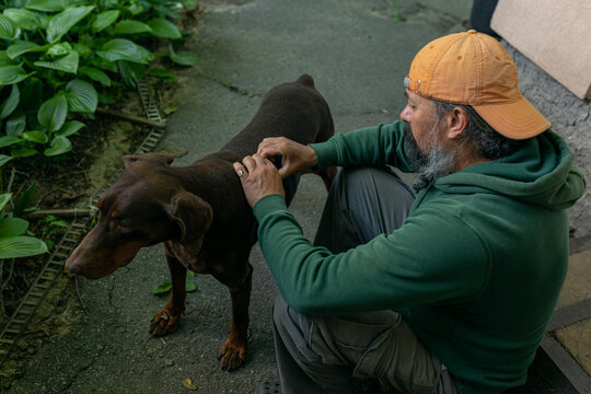 man stroking a dog's back