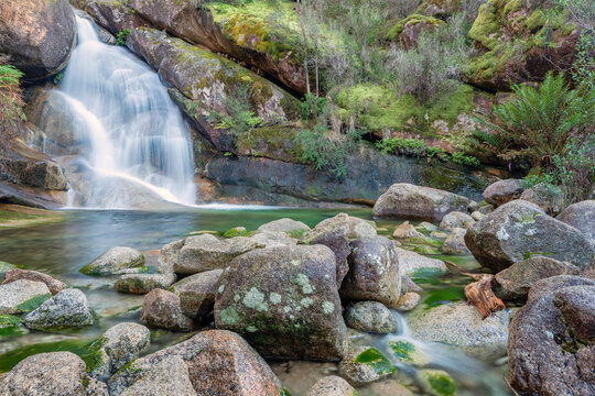 Waterfall in temperate rainforest 