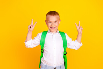 Photo of charming positive boy wear white shirt clothes v-sign isolated on yellow color background