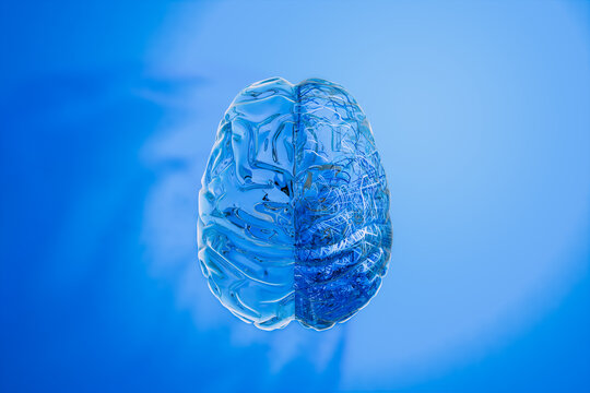 Brain model for machine learning concept