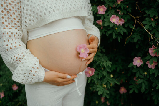 Portrait of a pregnant woman in a hat 