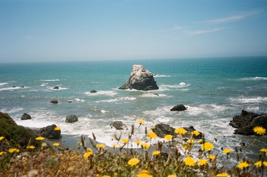 Pacific Ocean rocky beach coastline