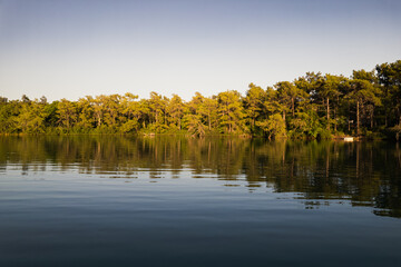 A tranquil forest reflecting in the calm waters of a lake under a clear sky.

