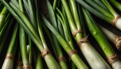 Fototapeta premium Close-up of fresh green onions with water droplets on them