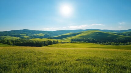 Fototapeta premium Rolling Hills and Green Fields under a Bright Sun