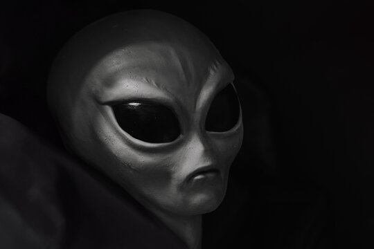 Close-up portrait of an alien