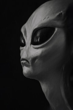 Close-up portrait of an alien