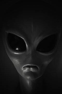 Close-up portrait of an alien