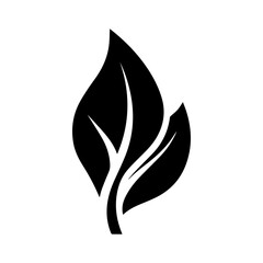 Naklejka premium vector illustration icon about graphic design and photography