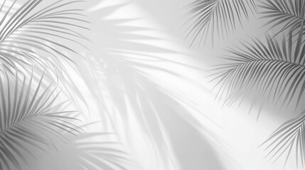 A monochromatic background featuring the shadows of palm leaves, creating a serene and tropical atmosphere. The interplay of light and shadow adds depth and texture to the composition.