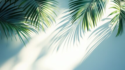 Fototapeta premium Close-up of green palm leaves casting shadows on a light background, creating a tropical and serene atmosphere.