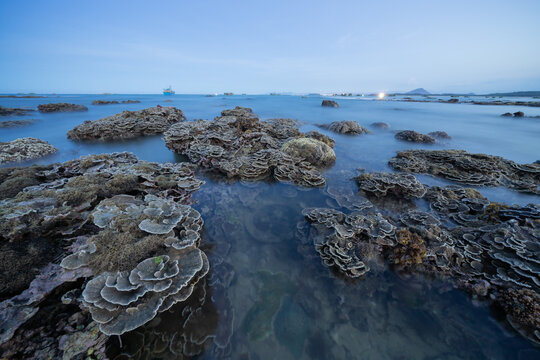 Dry coral reef