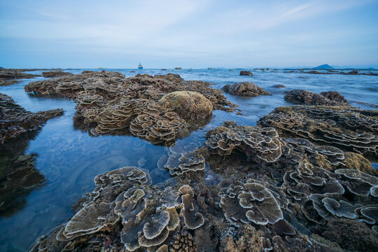 Dry coral reef