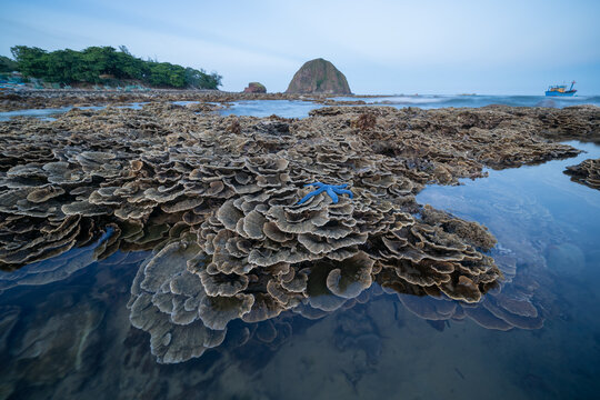 Dry coral reef
