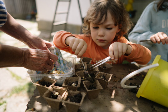 Boy planting seedling in hand seeder