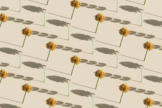 3D Render of Clover Flowers with Shadows Pattern