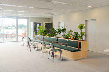 Modern Office Space With Greenery