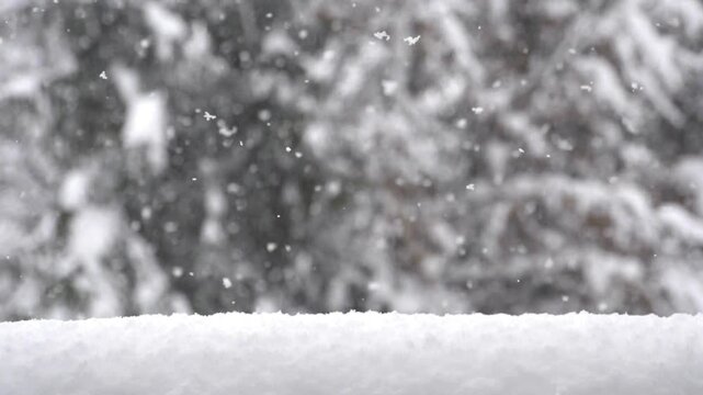 Snow flakes falling in slow motion