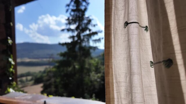 Slow motion nature, Himalayan cedar, sky and clouds with sun on the outside 