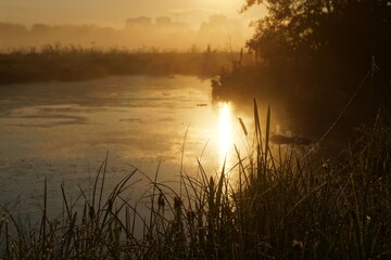 morning on the lake