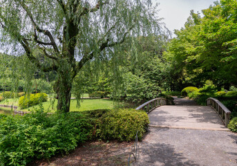 Wooden bridge and walkway in a lush Japanese garden