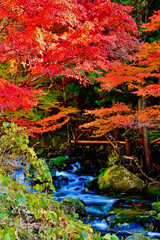 秋の那倉川渓谷・なぐらがわ（福島県・塙町）