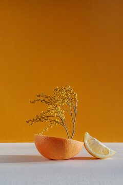 Still life with yellow flowers in grapefruit and lemon slice