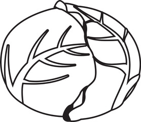 キャベツの線画アイコンイラスト