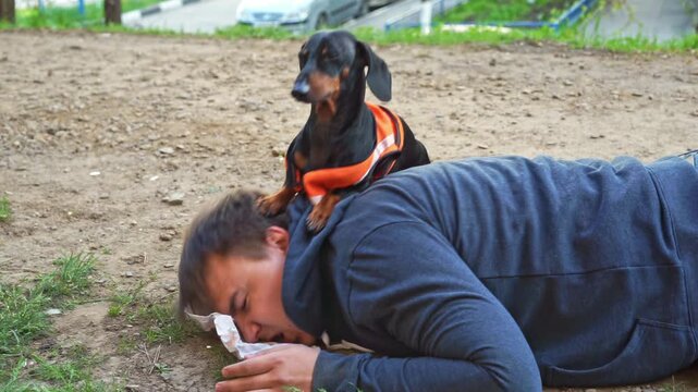 Dog dachshund janitor in orange vest uniform punishes male violator for throwing garbage on ground, pokes his nose into piece of paper, retribution for pollution Humor of pet fighting for cleanliness